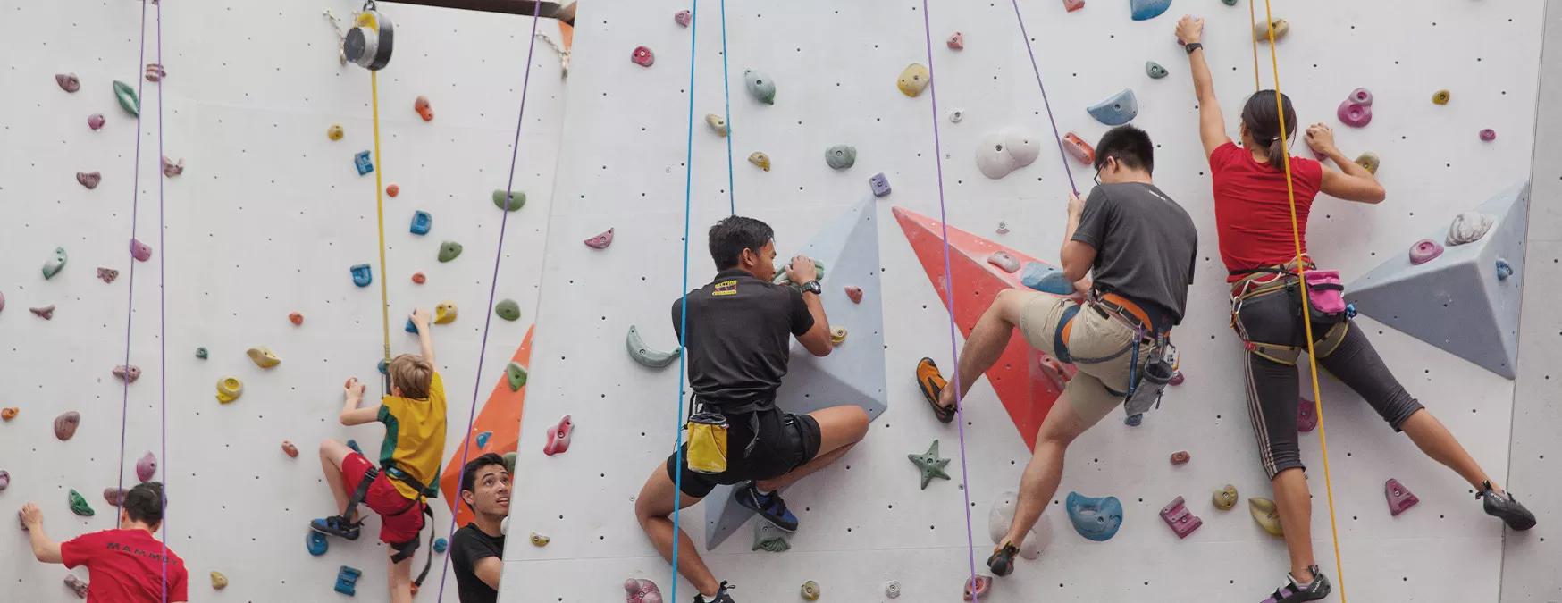 kallang-rock-climbing-singapore-sports-hub